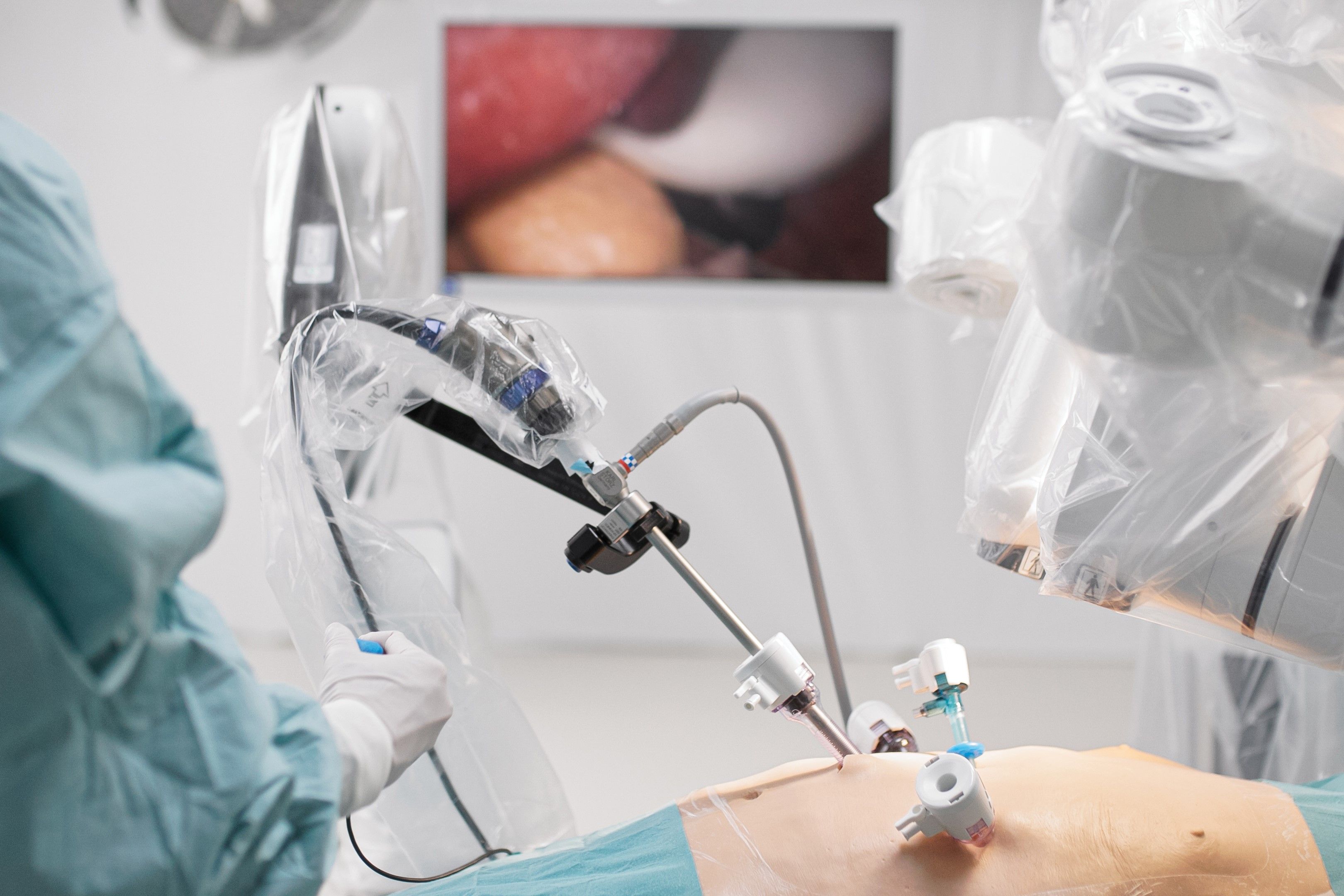 Dexter robot endoscope arm